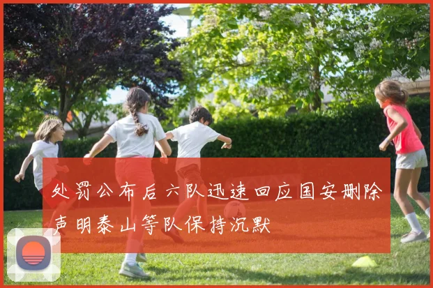 处罚公布后六队迅速回应国安删除声明泰山等队保持沉默